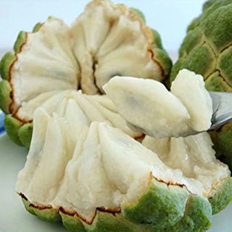 Soursop Graviola Guanabana Annona Muricata Fruit Tree Seeds Fresh Tropical Fruit - Image 2