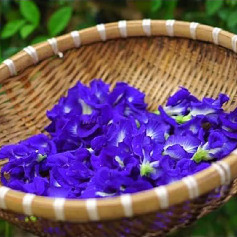 Butterfly Pea Flower Seeds - Image 2