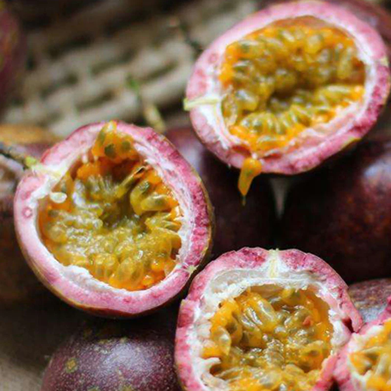 Tropical Passion Fruit Seeds for Bonsai Backyard Country - Image 3