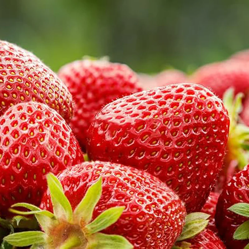 Mix Strawberry Seeds Red Yellow Blue White Climbing Strawberry - Image 4
