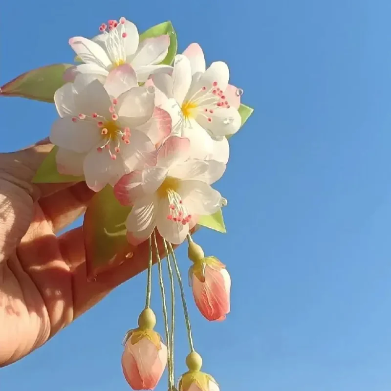 Begonia flowers Seeds - Image 9