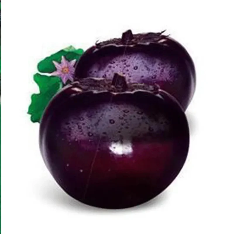 Beijing eggplant round organic vegetable eggplant seeds - Image 2