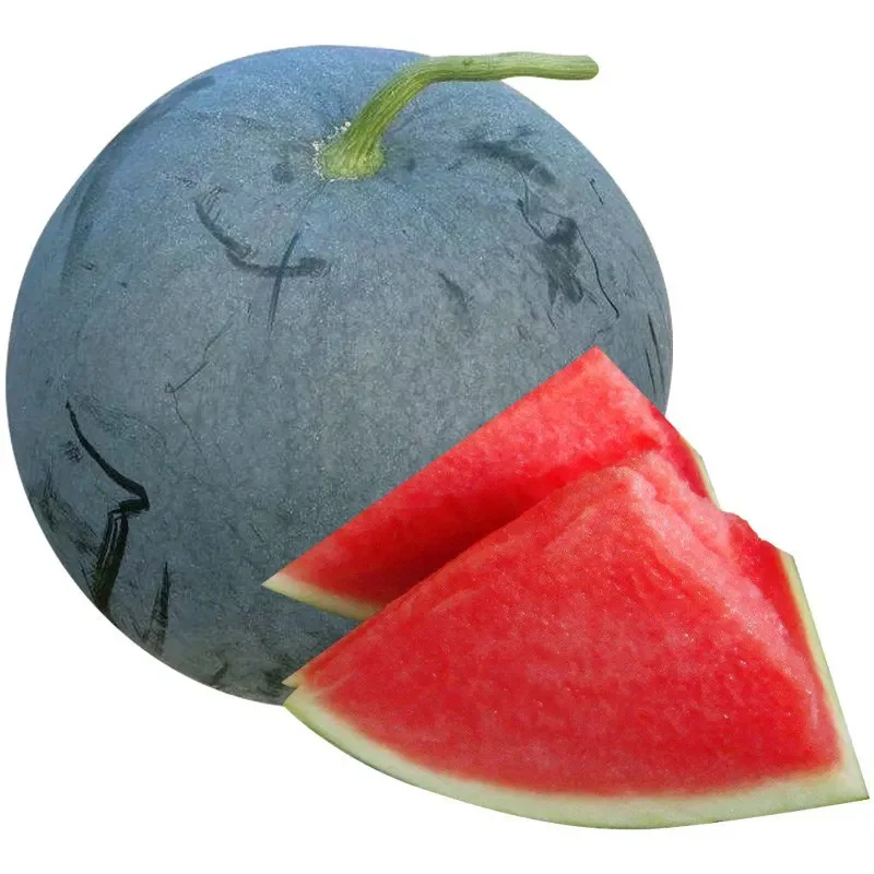 Black Diamond Watermelon Seeds - Image 3