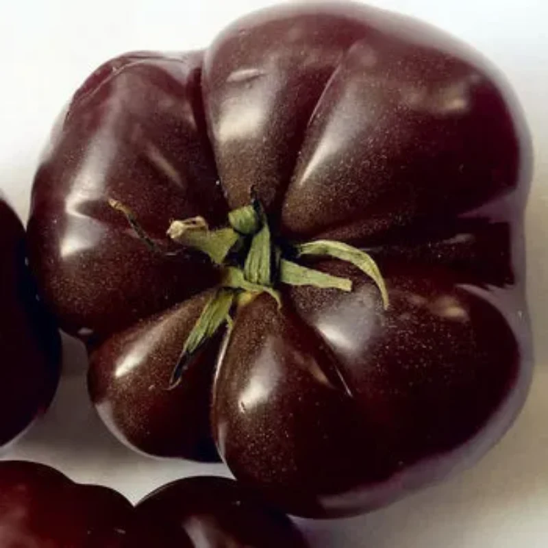 Black Tomato Seeds - Image 4
