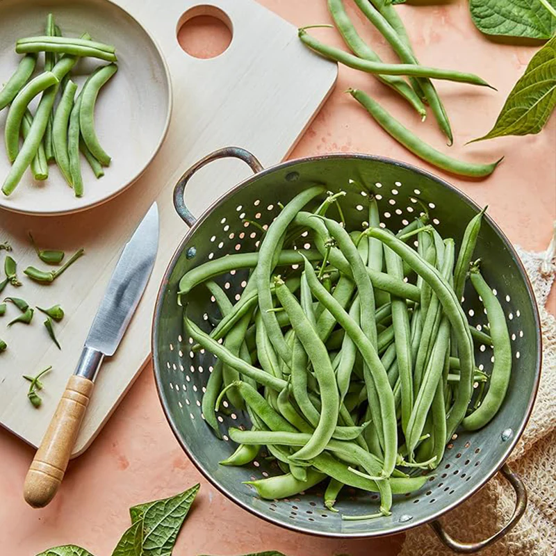 Blue Lake 274 Bush Bean Seeds - Image 6
