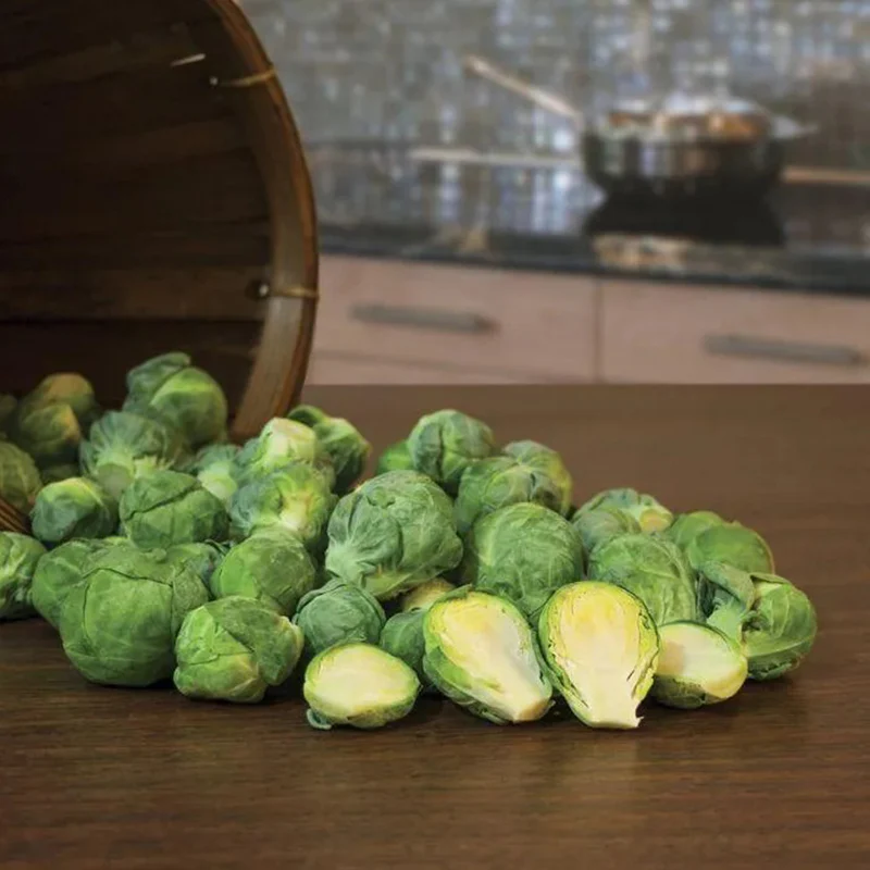 Brussels Sprouts Marte F1 - Image 5