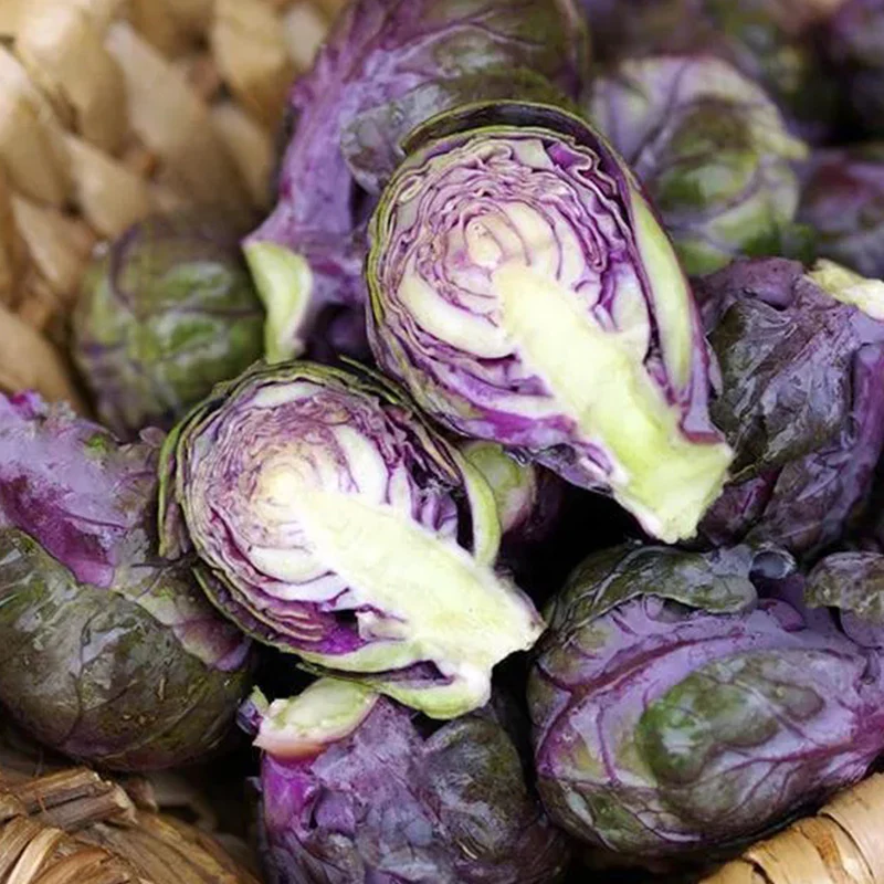 Brussels Sprouts Redarling F1 - Image 3
