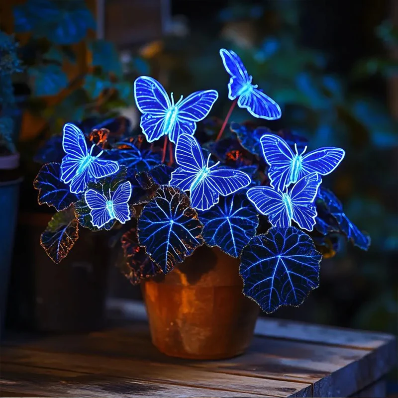 Butterfly Begonia: Unleash Whimsy in Your Garden! - Image 25