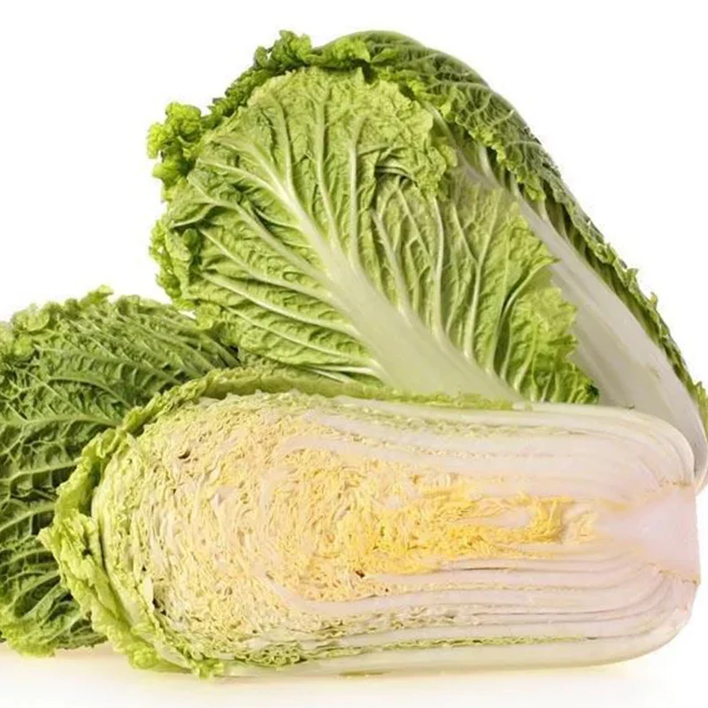 Cabbage Bilko F1 Organic - Image 4