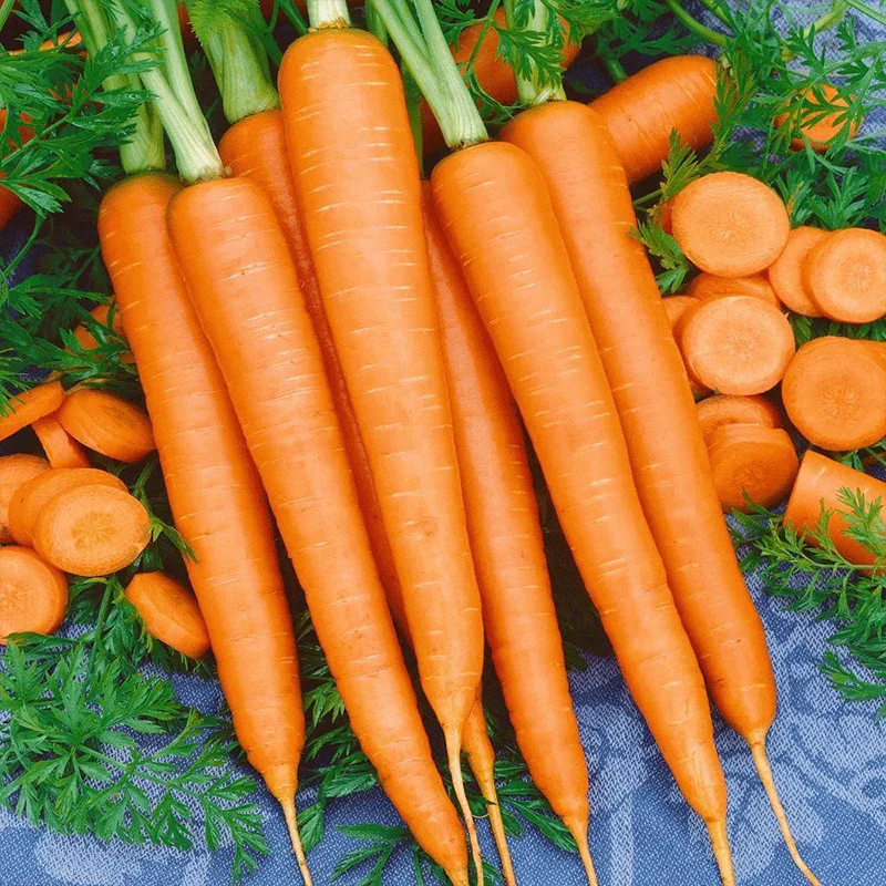 Carrot Nantindo F1 - Image 5
