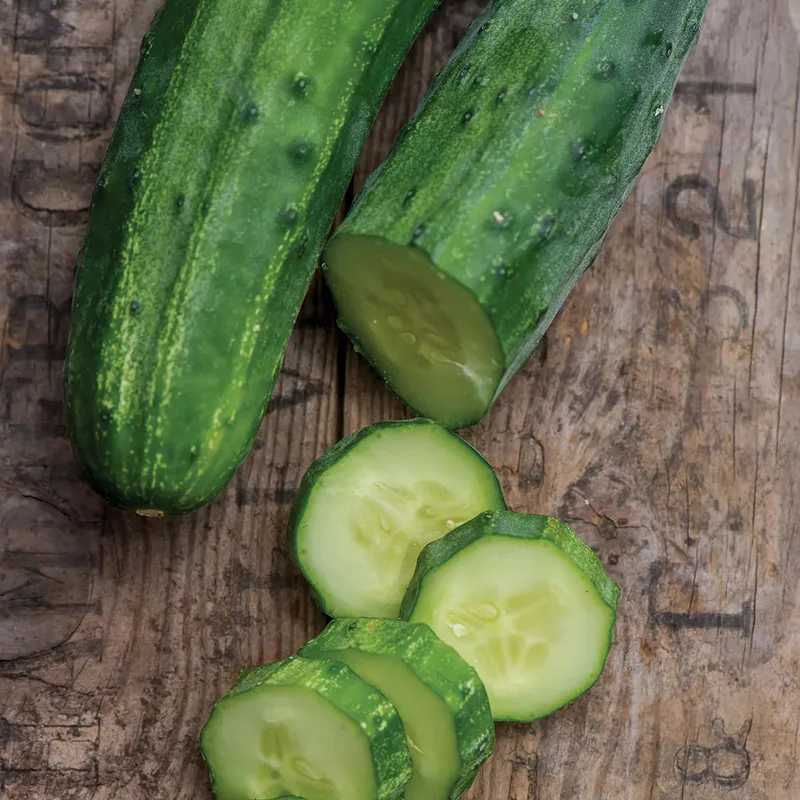 Cucumber, Bush Champion - Image 3