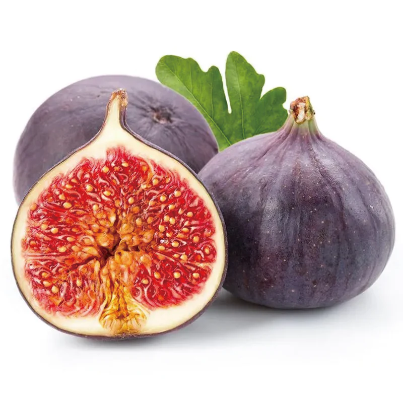 Fig Tree Seeds (Ficus carica), Sweet Fruit Shrub - Image 2