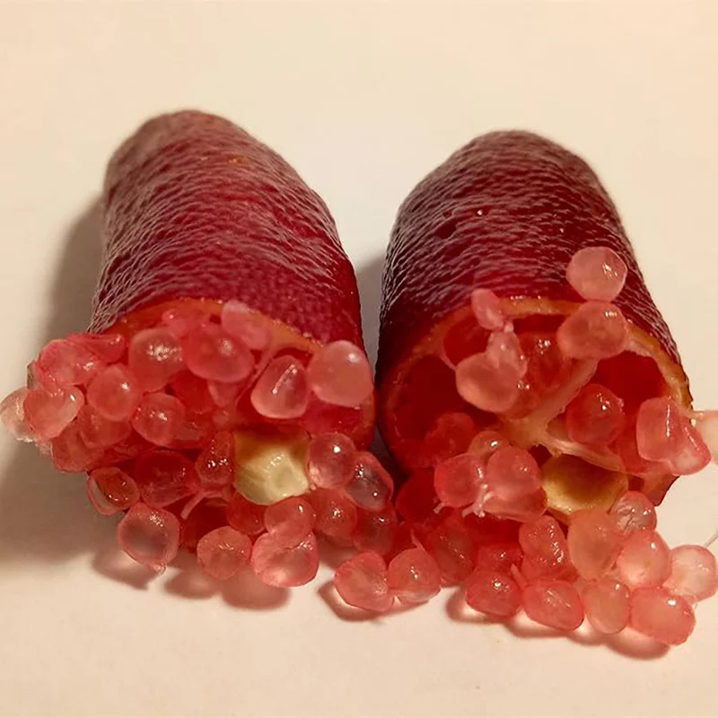 Finger Lime Seeds Citrus Australasica Caviar Lime Garden Outdoor - Image 5