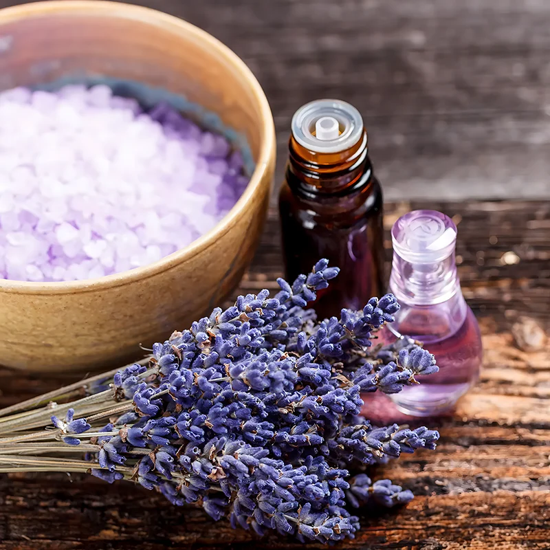 Lavender Seeds - Image 3