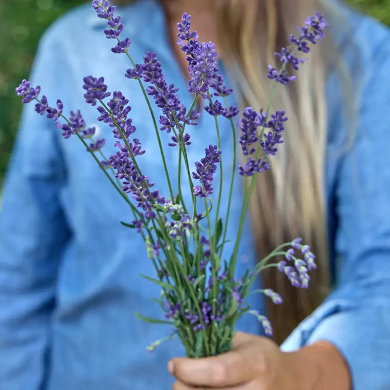 Lavender, Super Blue PPAF - Image 3