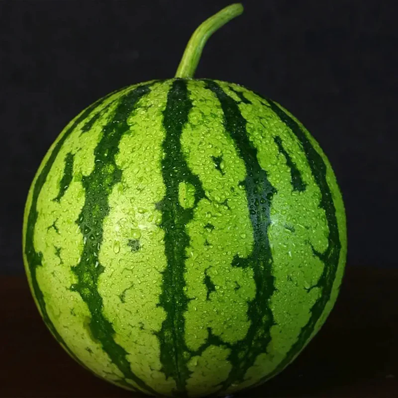 Lazy Man's Watermelon Seeds - Image 8
