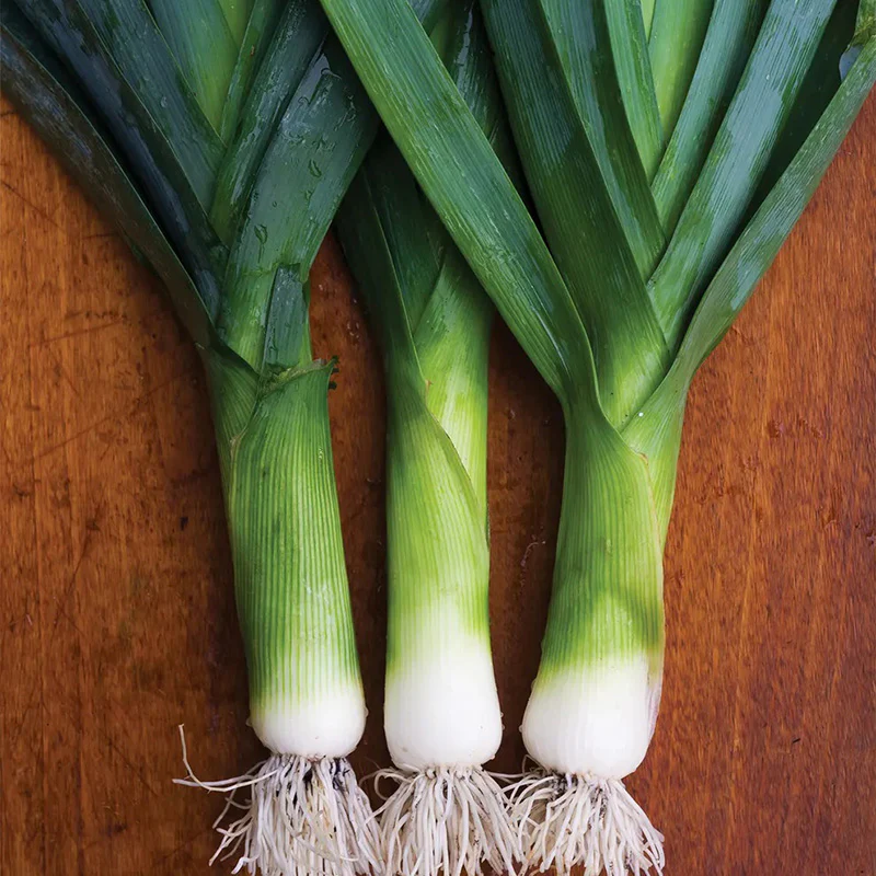 Leek, Lancelot - Image 2