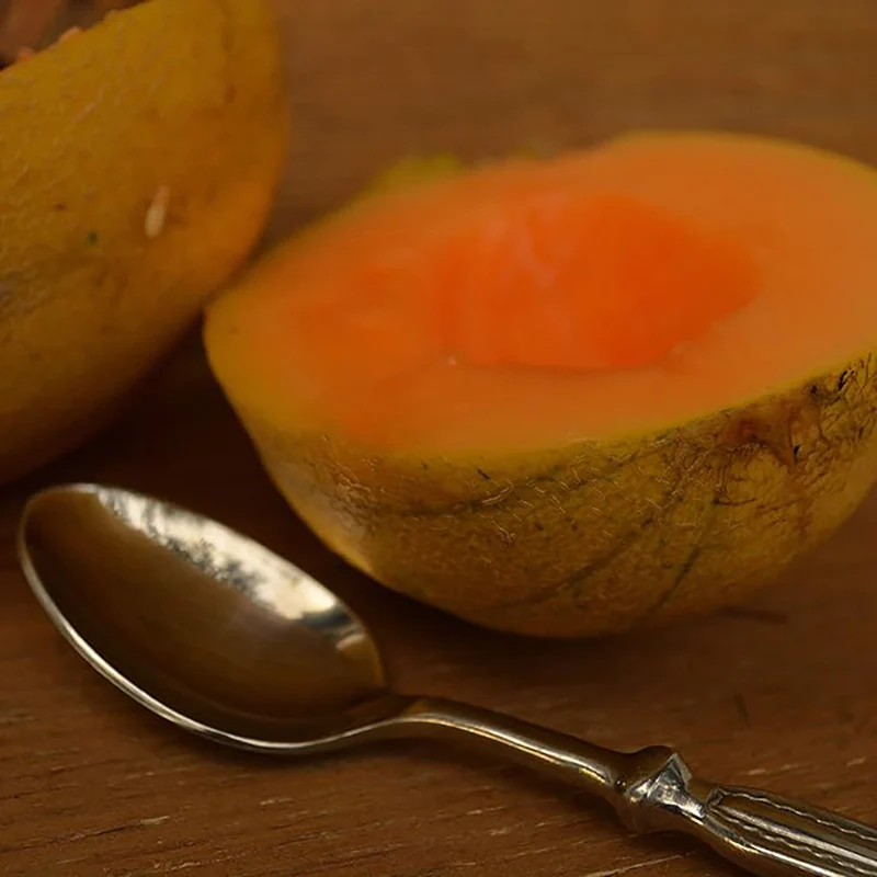 Minnesota Midget Muskmelon Great for Containers Sweet Easy to Grow - Image 3