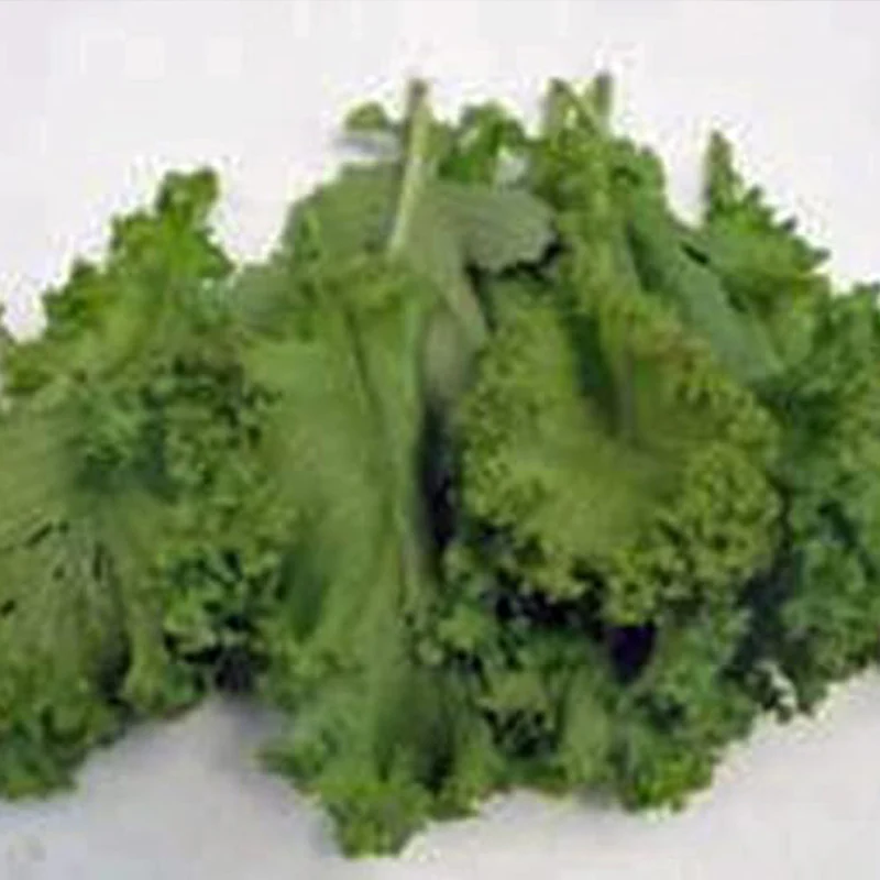 Mustard Greens Seed, Southern Giant - Image 3
