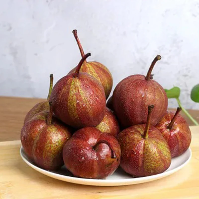 Pyrus pyrifolia 'Nijisseiki'Rainbow Pear Seeds - Image 10