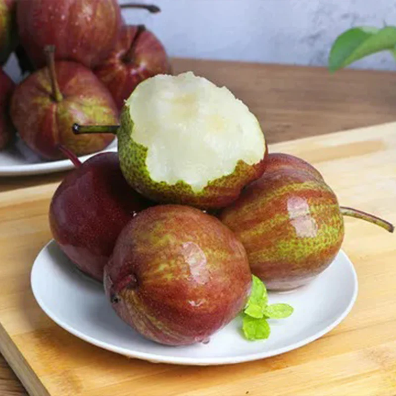 Pyrus pyrifolia 'Nijisseiki'Rainbow Pear Seeds - Image 11