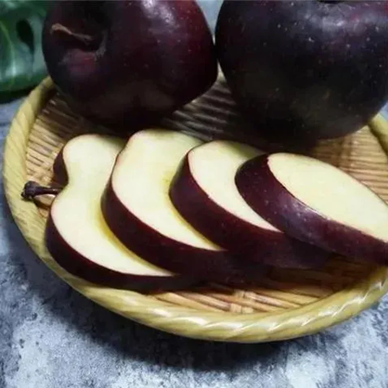 Rare Black Diamond Apple Seeds - Image 2