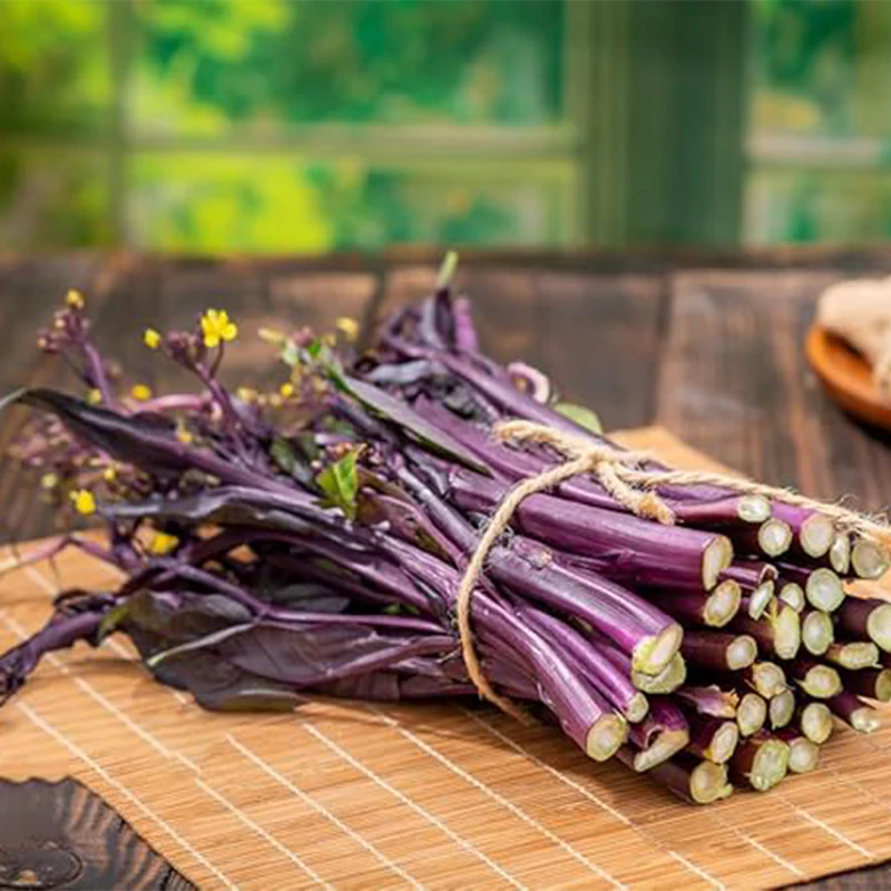Red Chinese Kale Seeds, Vegetable Seeds for Plating - Image 4