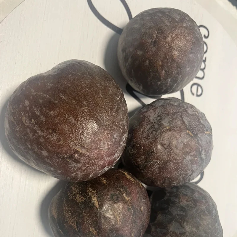 San Pablo Custard Apple Rare Fruit Seeds - Image 3