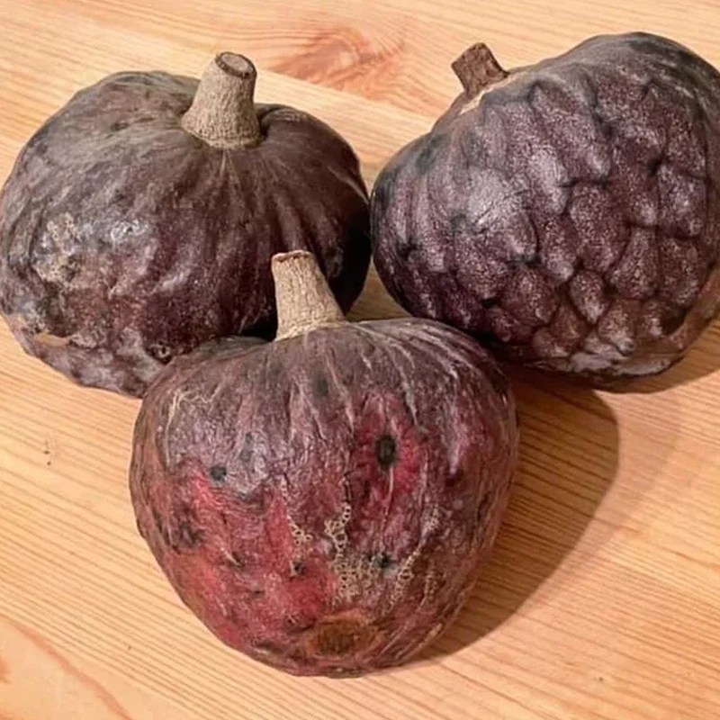 San Pablo Custard Apple Rare Fruit Seeds - Image 4
