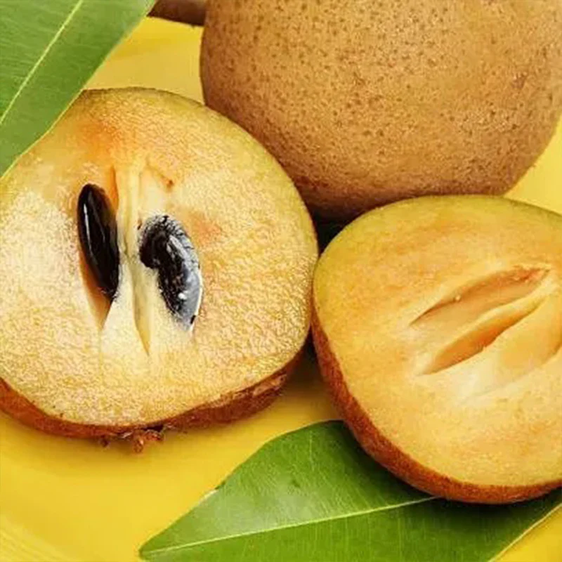 Sapodilla Fruit Seeds - Image 4