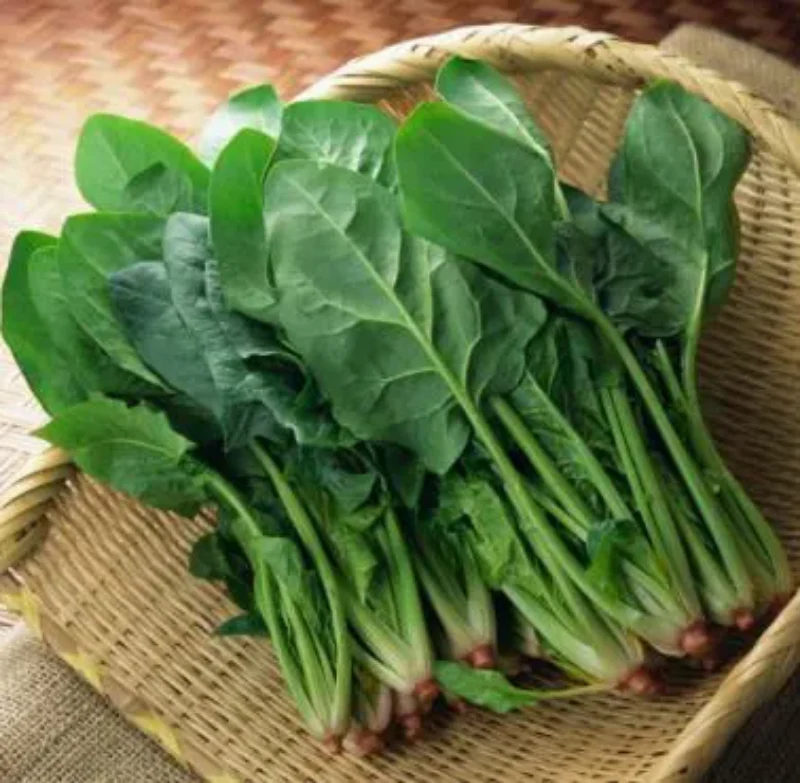 Spinach In The Snow Seeds - Image 4