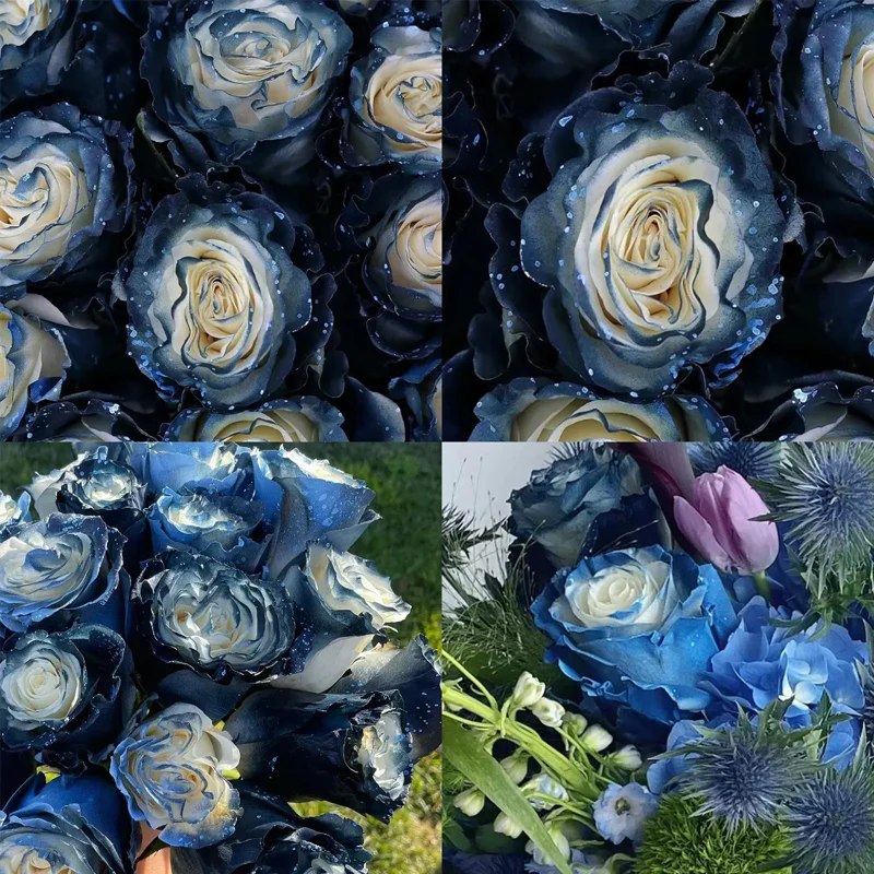 Starry Galaxy Rose - Rare Rose - Image 9
