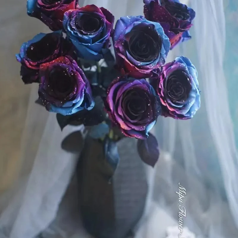Starry Sky Roses - Image 3
