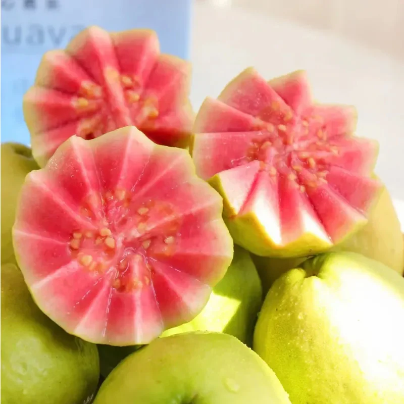 Tropical Strawberry Guava Organic Pink Guava Seeds - Image 4